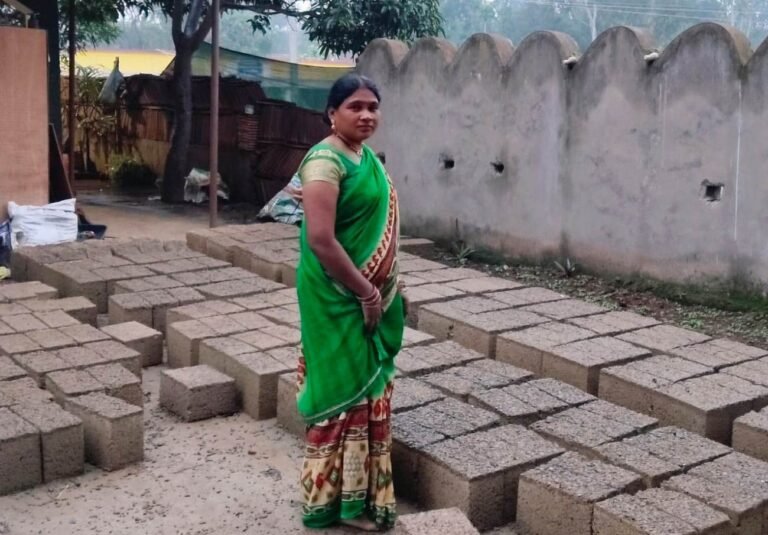 बकावंड की सुमनी कश्यप ने सीमेंट ईंट निर्माण से रची सफलता की नई इबारत